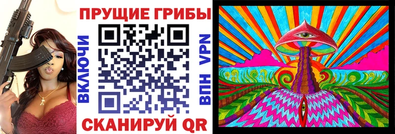 Псилоцибиновые грибы GOLDEN TEACHER  купить наркотики сайты  Фокино 